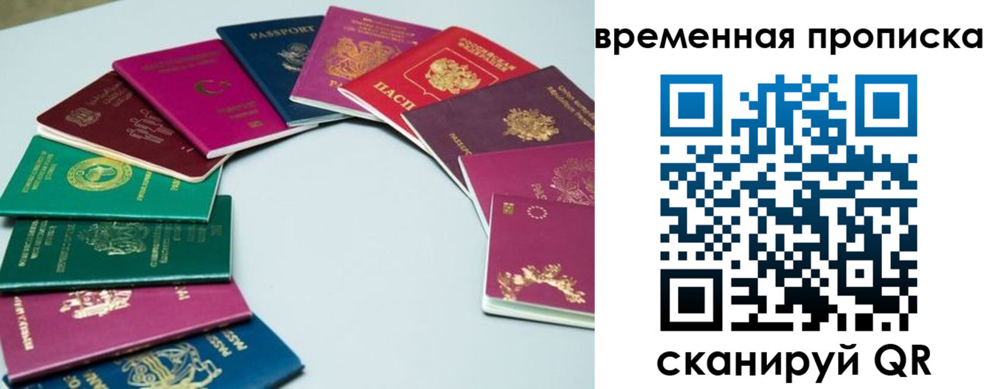 найти адрес прописки в Лузе
